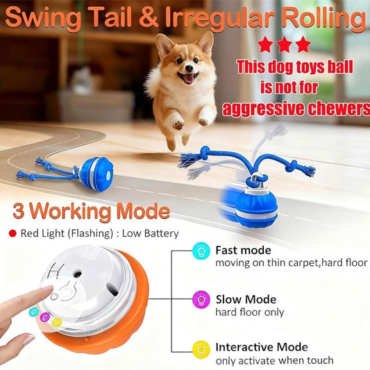 https://cdn.shopify.com/s/files/1/0684/3482/1347/files/9d48ff71-7dc7-4abd-5488-0c2824968a00_43248f03-39dd-4be3-9ad1-6e6102786282.jpg?v=1769051819