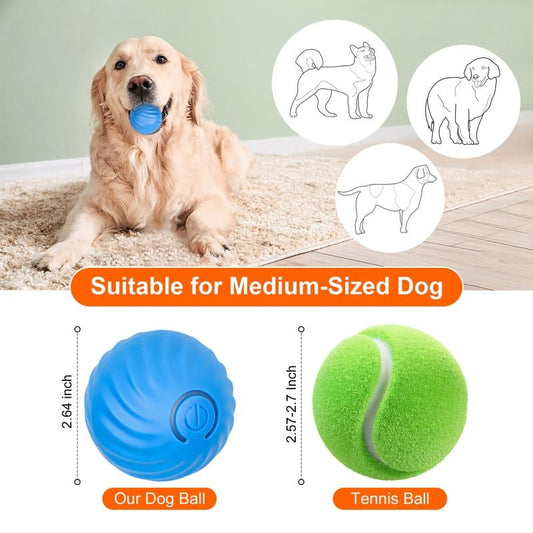 https://cdn.shopify.com/s/files/1/0684/3482/1347/files/cc40e100-b6d9-482e-1e5e-09ab2684c100_da875863-91c9-4ef9-8dfb-a0c9ee6c3e6d.jpg?v=1769046042