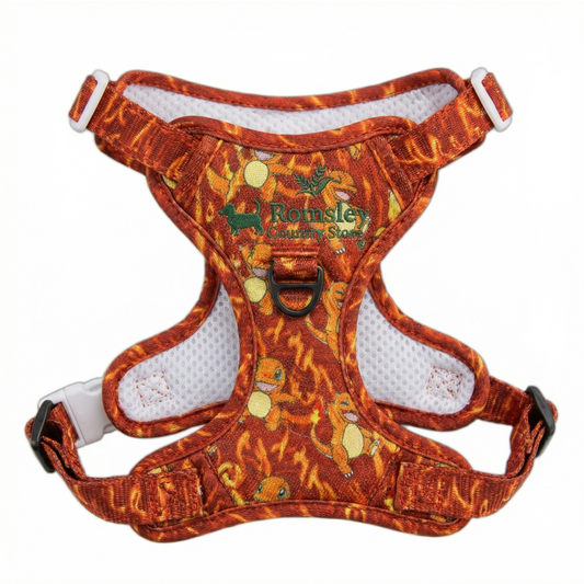 Romsley™ All-Rounder Dog Harness | Fiery Red